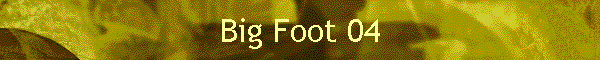 Big Foot 04