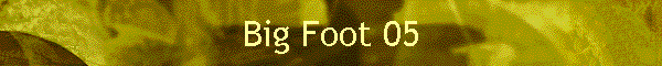 Big Foot 05