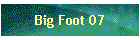 Big Foot 07