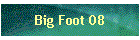 Big Foot 08