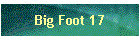 Big Foot 17