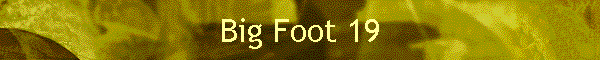 Big Foot 19