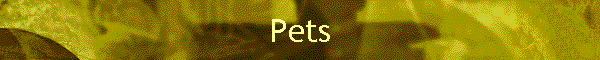 Pets